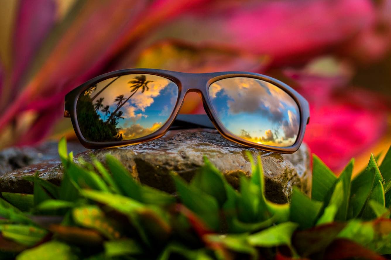 Maui Jim frames at Vision Palace Optical Brooklyn